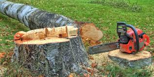 Best Tree Risk Assessment  in Kenilworth, PA